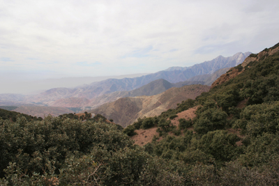 Looking south west from the Tizi n 'Test over Quercus rotundifolia